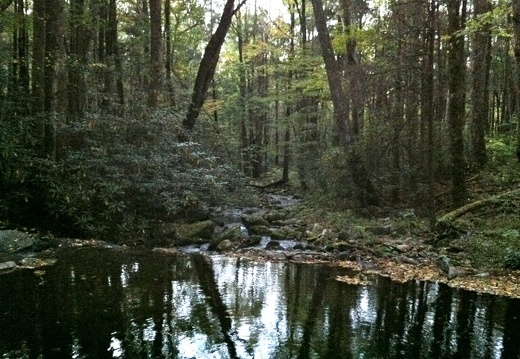 Cosby Creek